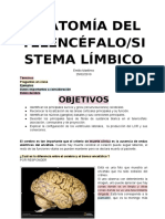 3.anatomía Del Telencéfalo y Sistema Limbico