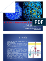 T- Cell Maturation (1).pdf