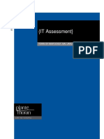 IT Assessment Report - Nantucket