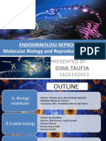 PPT Molecular Biology and Reproduction