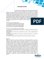 Plantilla Pamer semana 2.1.pdf