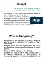 Budget: Forecast Individual Company's Income Expenses Period