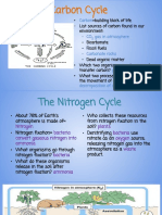 Pg. 9 10 Biogeochemical Cycles