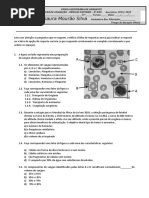 CN9 Teste Sistemas Cardiovascular Respiratório 2020