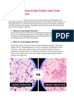 Difference Between Gram Positive and Gram