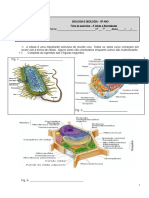 Ficha de Exercicios célula e biomoléculas