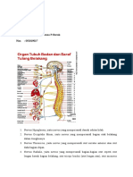 RESUME Mecthildis Trauma Spinal.docx