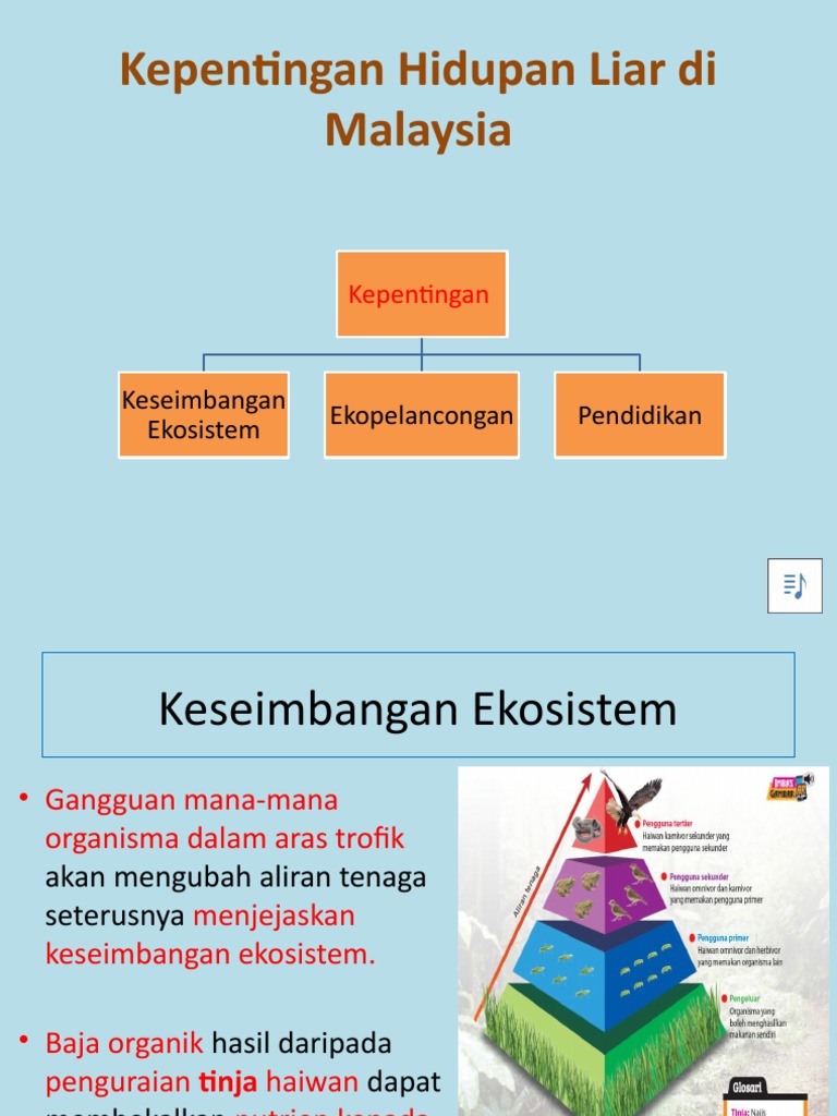 Kepentingan Hidupan Liar Di Malaysia