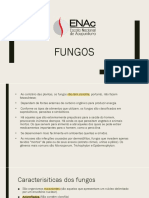 02. Fungos e Parasitas