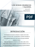 Producción de Ácidos Orgánicos y Alcohol