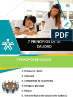 7 Principios de Calidad