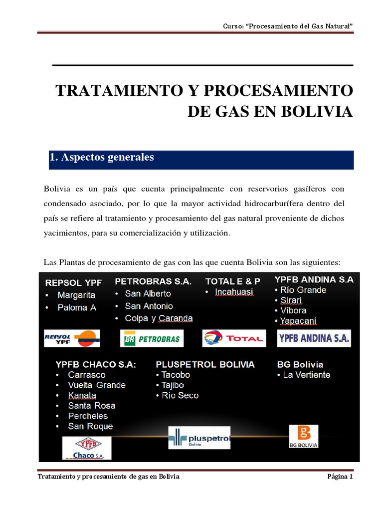 Procesamiento de Gas Natural en Bolivia | PDF | Gas natural | Gases