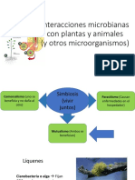 Interacciones microbianas: simbiosis, comensalismo y parasitismo