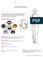 Stomach Meridian Flow