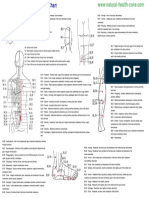 Bladder Meridian Chart PDF