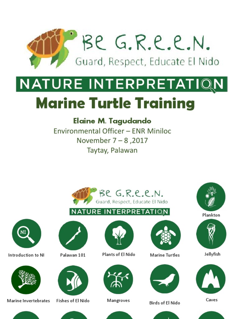 Module 1 - Turtle Biology PDF | PDF
