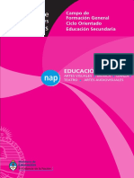 NAP,_Educación_Artística,_Educación_Secundaria,_Ciclo_Orientado.pdf