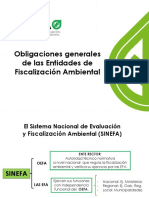 OBLIGACIONES-GENERALES-DE-LAS-EFA.pdf
