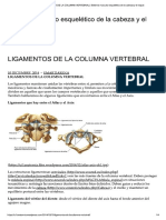 Ligamentos de la columna vertebral.pdf