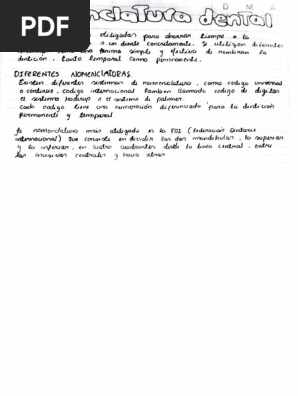 Nomenclatura Dental 16 Pdf