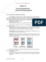 Citoesqueleto PDF