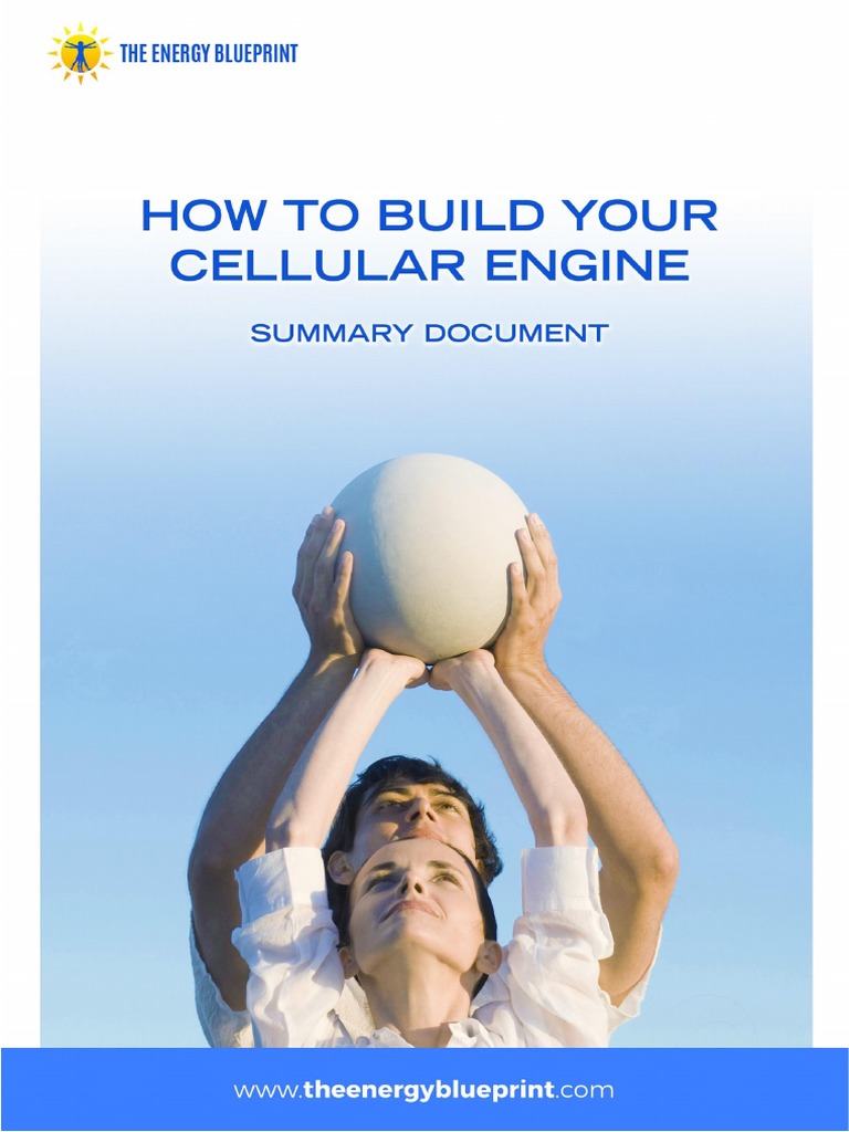 Building Your Cellular Engine for Energy | PDF | Stress (Biology ...