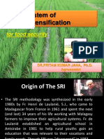 The System of Rice Intensification - For Food Security - Dr.P.K.Jana