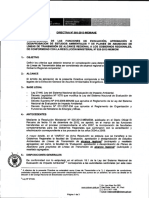 DIRECTIVA 001-2013-MEM-AAE - Transferencia gobiernos regionales.pdf