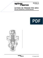 BRV2 Im P045 10 Es PDF