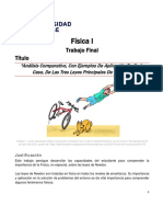 Trabajo Final Fisica I