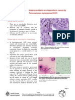 1489731628_enterocytozoon-hepatopenaei-disease-card-2015.pdf