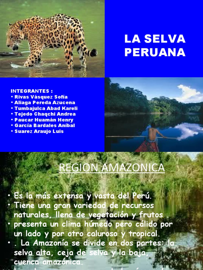Riquezas y recursos de la selva peruana | PDF
