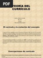 Teoría Del Currículo
