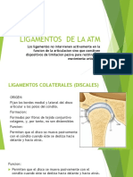 Ligamentos Articulares PDF