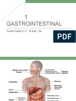 Sistem Gastrointestinal - FikesUMC