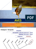 ZOVER 2018 Aves