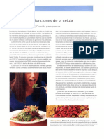 Estructura y funciones de la celula.pdf