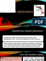 Demam Berdarah