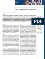 Renal PDF