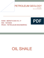 TUGAS Petroleum Geology