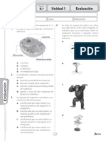 Avanza Ciencias 4 Evaluaciones PDF
