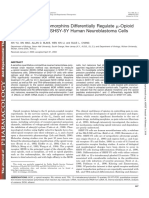Morphine and Endomorphins Differentially