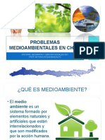 Problemas Medio Ambientales Chile