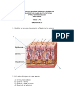CUESTIONARIO DE PIEL Actividad 2anatomia y Fisiologia PDF