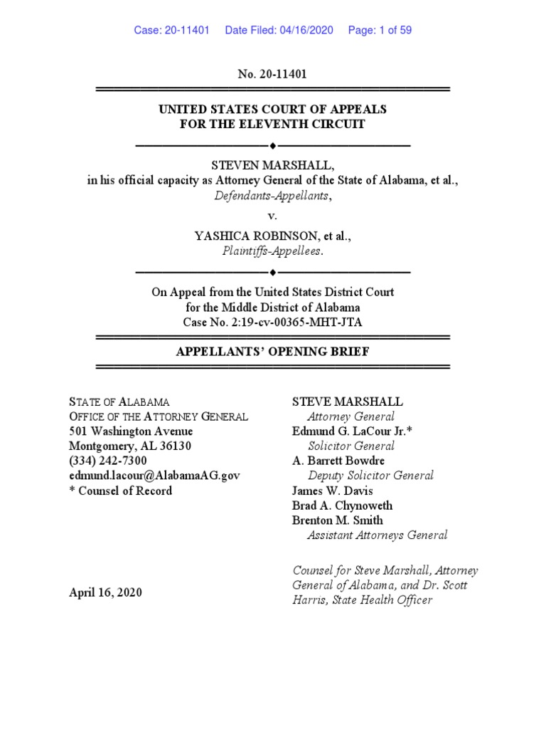 Preliminary Appeal PDF Injunction Judgment (Law)