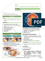 Hazy Vision Causes and Eye Exam