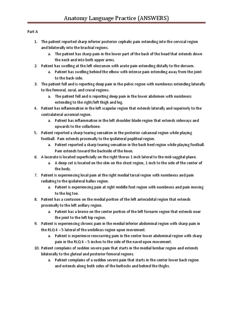 Anatomy Language Practice Answers | PDF | Anatomical Terms Of Location |  Abdomen