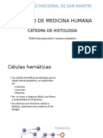 Sistema Circulatorio Reparado