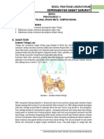 Modul IRIGASI TELINGA MATA DAN TAMPON