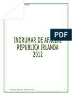 17 Indrumar de afaceri Irlanda 2013_2012121736489.doc